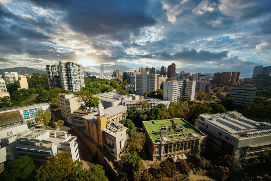 香港大学 校园图片 2